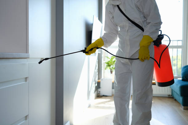 Best Industrial Mold Remediation in Hephzibah, GA
